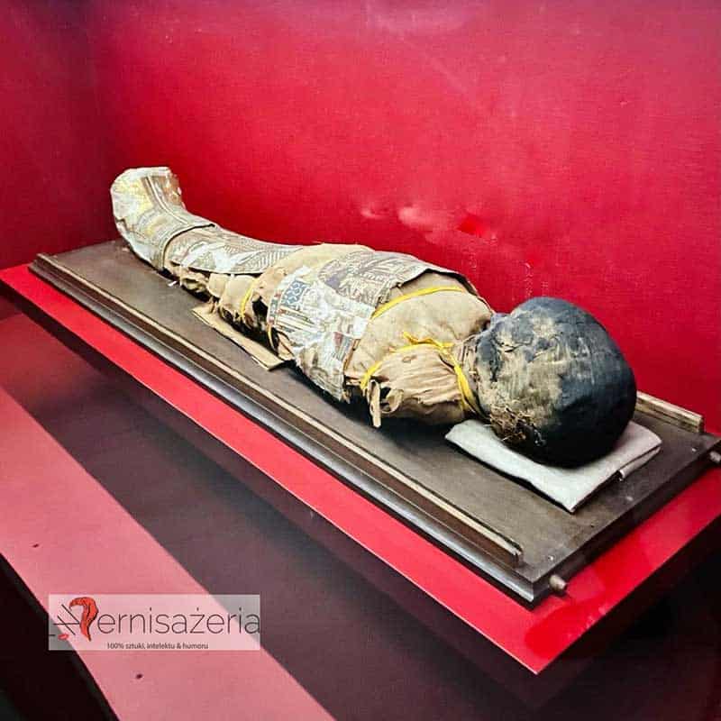 Mumia chłopca, wystawa Magia starożytnego Egiptu w Muzeum Narodowym w Lublinie