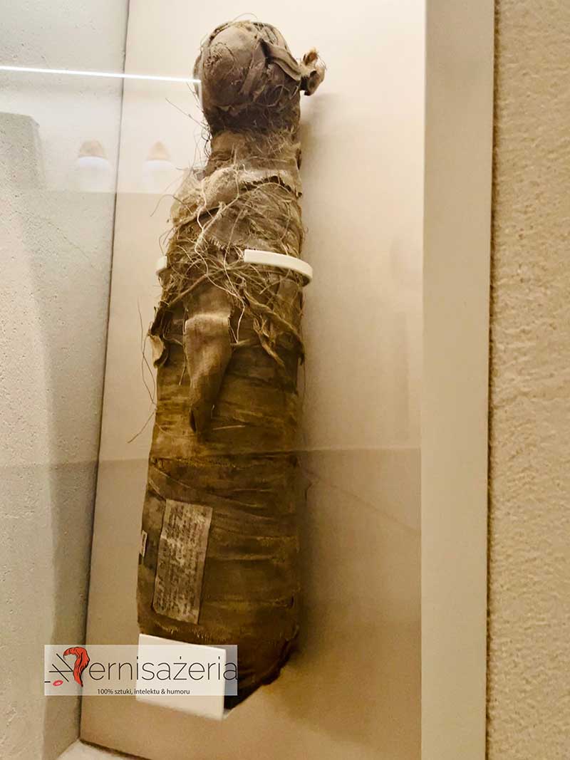 Mumia kota, Magia starożytnego Egiptu, Muzeum Narodowe w Lublinie