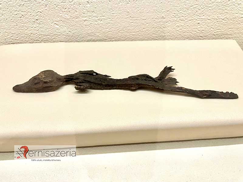 Mumia krokodyla, Magia starożytnego Egiptu, Muzeum Narodowe w Lublinie
