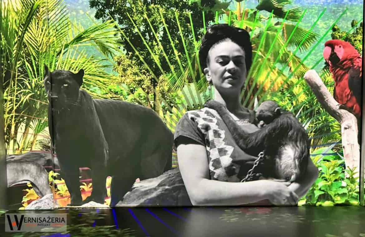 Wernisażeria, patronat medialny, wystawa „Frida Kahlo. Życie ikony. Biografia immersyjna ”, Art Box Experience Wernisażeria, patronat medialny, wystawa „Frida Kahlo. Życie ikony. Biografia immersyjna ”, Art Box Experience