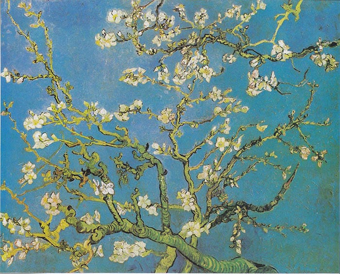 Vincent van Gogh, Kwitnący migdałowiec, 1888