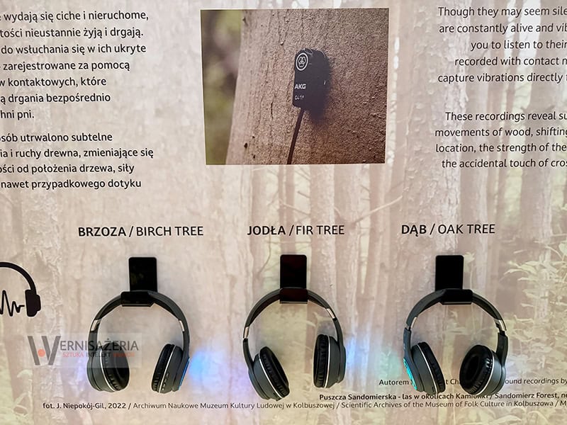 PATRONAT WERNISAŻERII: „Mit mebli Kolbuszewskich”, Muzeum Zamkowe w Sandomierz 67 Stanowisko z nagraniami dźwięków drzew - Puszcza Sandomierska - wystawa Mit mebli kolbuszowskich