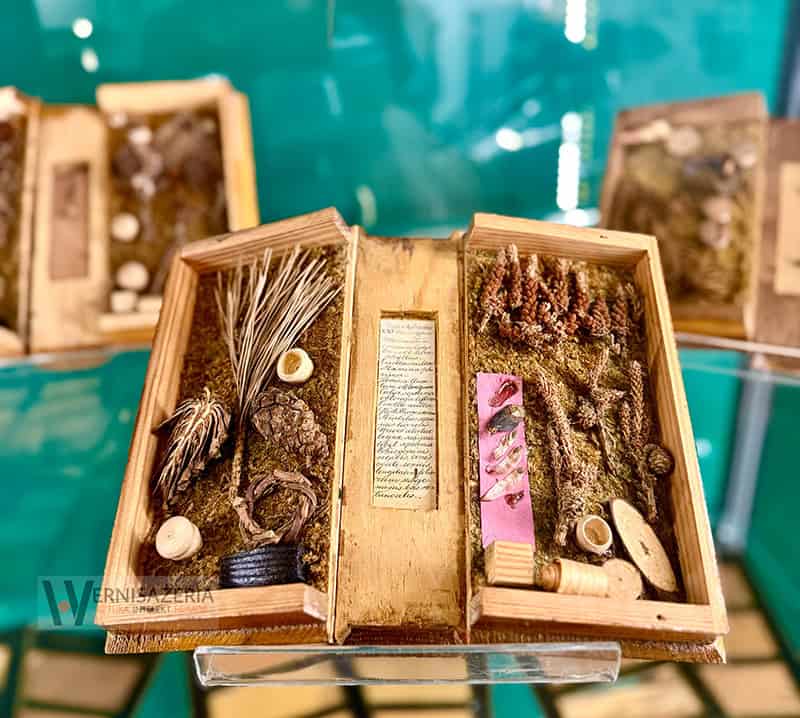 PATRONAT WERNISAŻERII: „Mit mebli Kolbuszewskich”, Muzeum Zamkowe w Sandomierz 68 Zielnik - kolekcja przyrodnicza z Puszczy Sandomierskiej - wystawa Mit mebli kolbuszowskich - Sandomierz