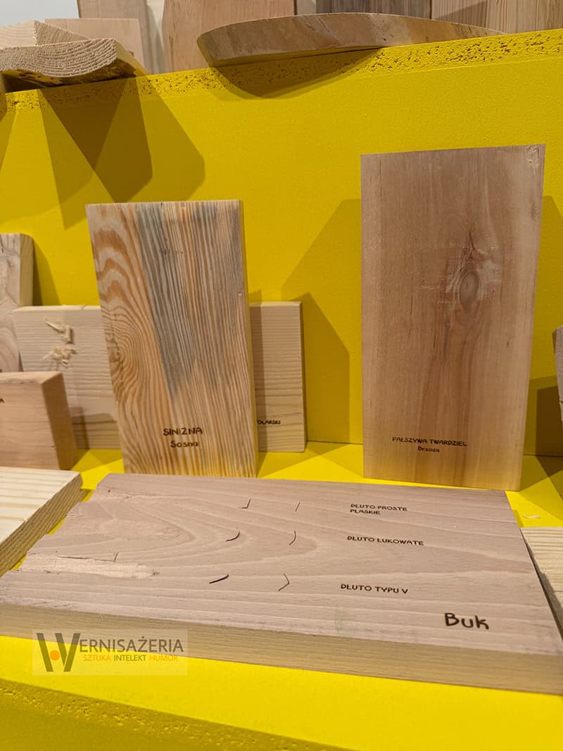 PATRONAT WERNISAŻERII: „Mit mebli Kolbuszewskich”, Muzeum Zamkowe w Sandomierz 69 Próbki drewna - sosna brzoza buk - ślady dłut stolarskich - wystawa Mit mebli kolbuszowskich